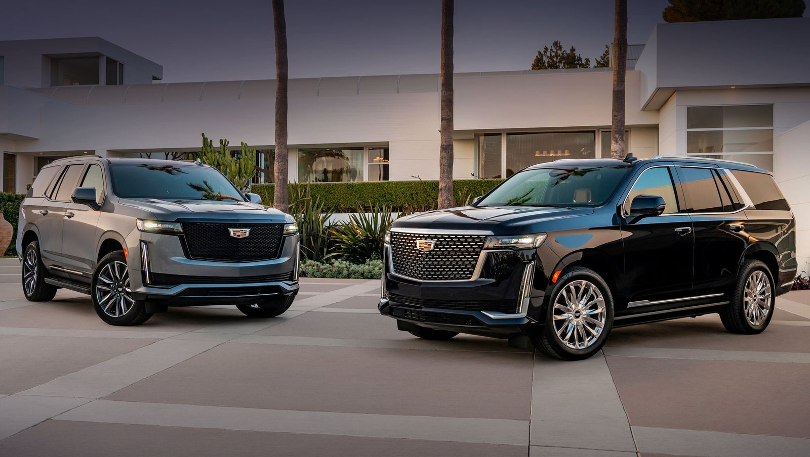 Best Limo Service Houston