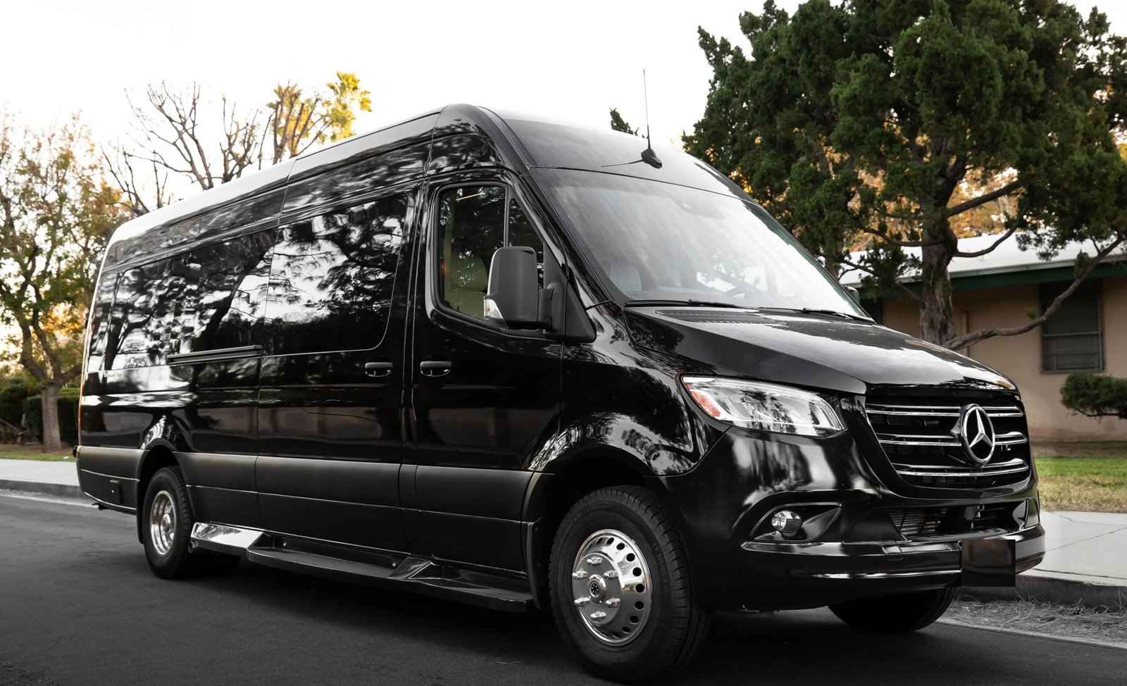 Executive Mercedes Sprinter Van Houston